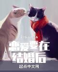 恋爱要在结婚后